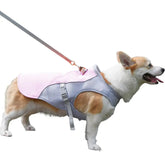 Cooling vest for dogs for outdoor activities 0