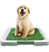 Dog toilet with artificial grass 0