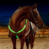 LED chest collar horse 0
