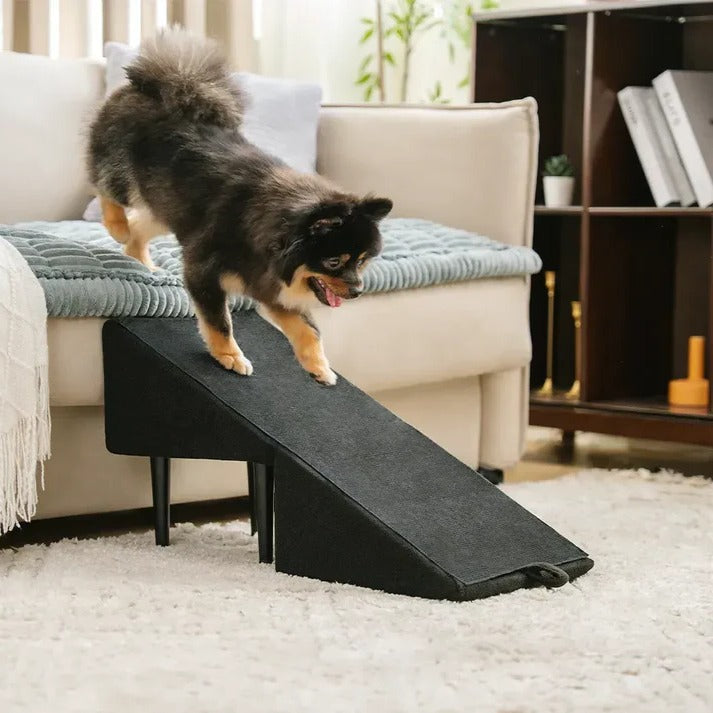 2-in-1 convertible dog ramp and step stool 0