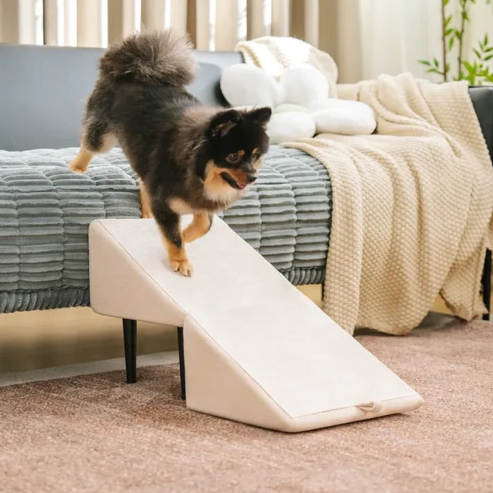 2-in-1 convertible dog ramp and step stool 1