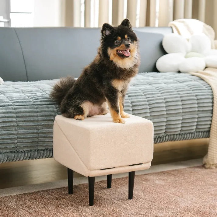 2-in-1 convertible dog ramp and step stool 6