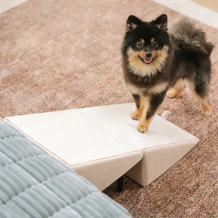 2-in-1 convertible dog ramp and step stool 7