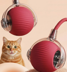 Active rolling ball with tail for dogs and cats