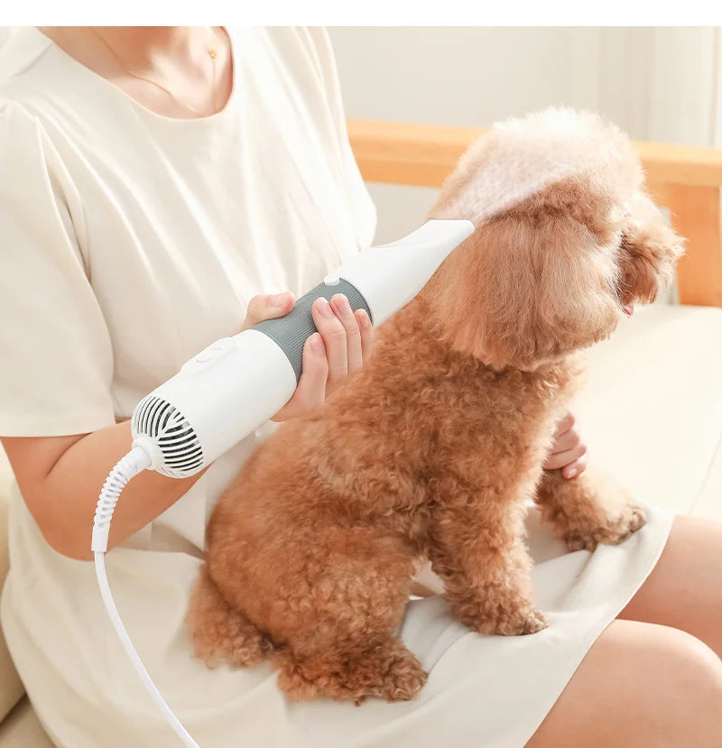 3-in-1 dog hair dryer and grooming brush 0