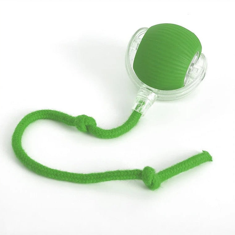 Active rolling ball with tail for dogs 1