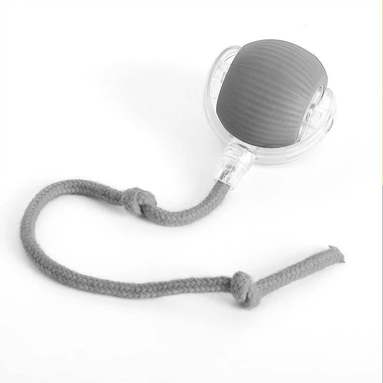 Active rolling ball with tail for dogs 2