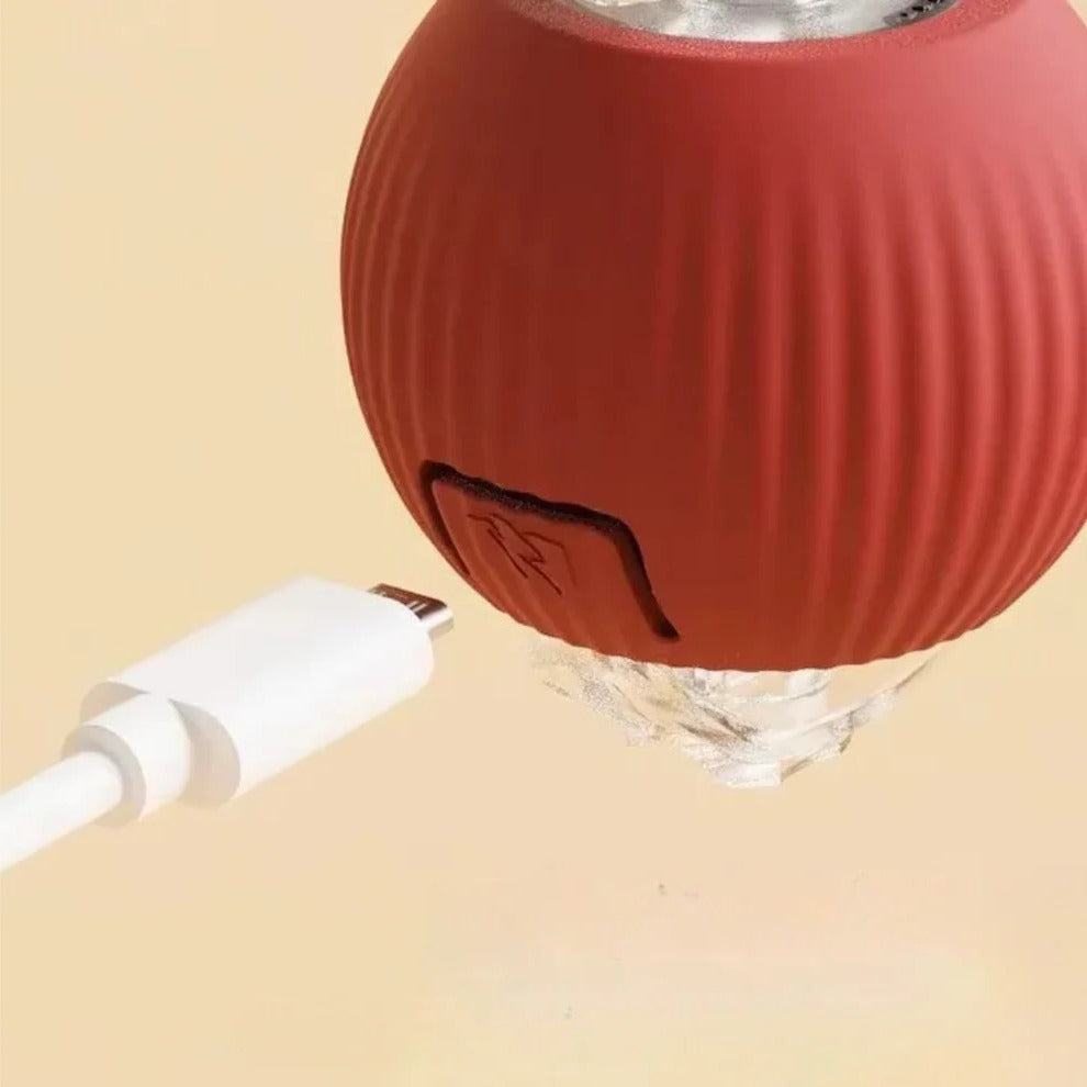 Active rolling ball with tail for dogs 7