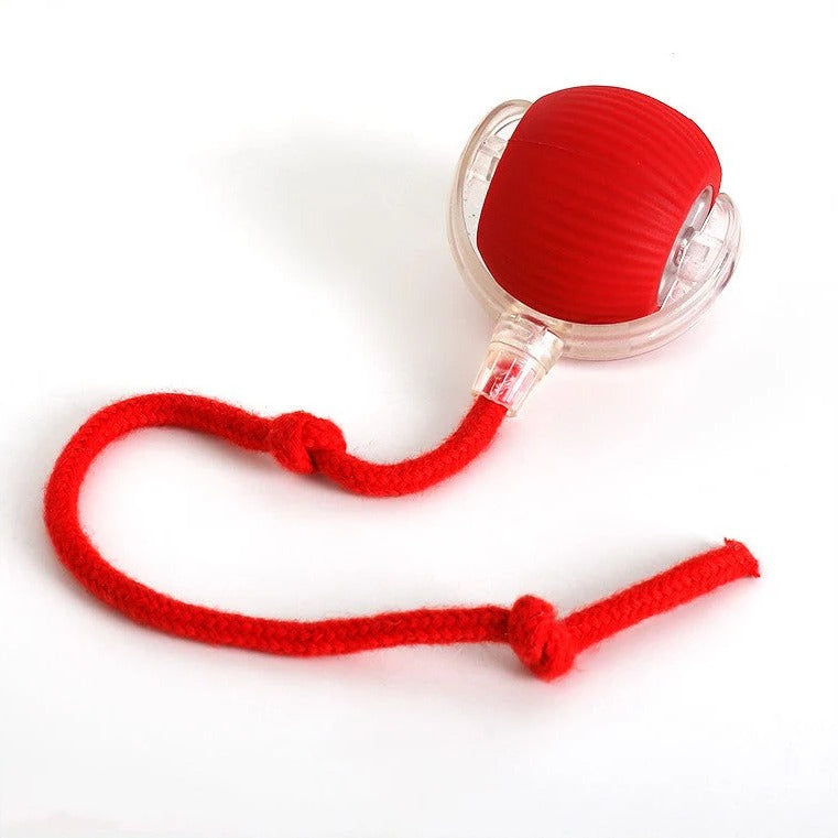 Active rolling ball with tail for dogs 8