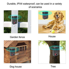 Anti-barking device for dogs 2