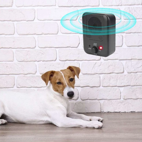 Anti-barking device for dogs 5