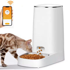 Automatic cat feeder 0