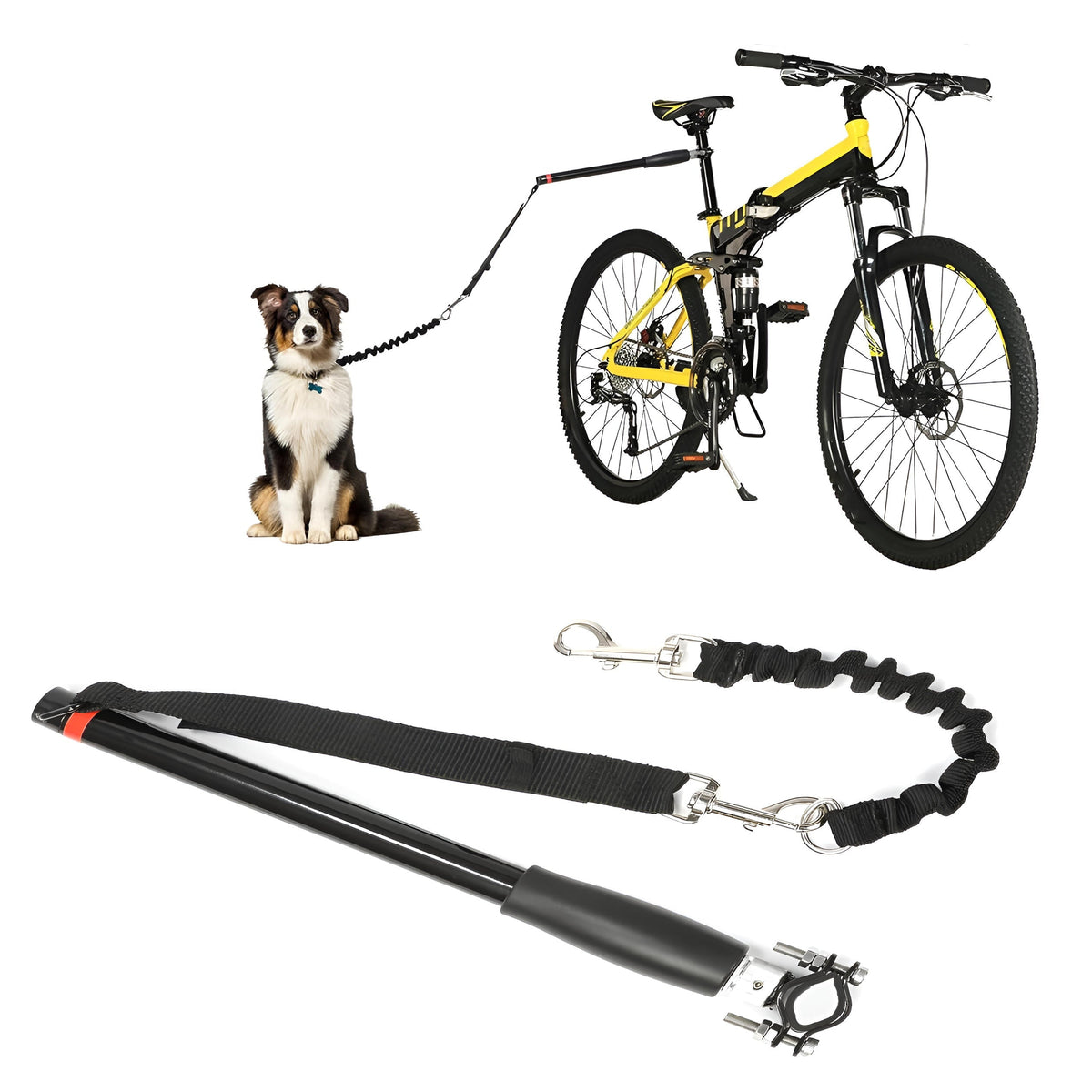 Bicycle dog leash 0