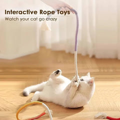 Cat chew toys 1