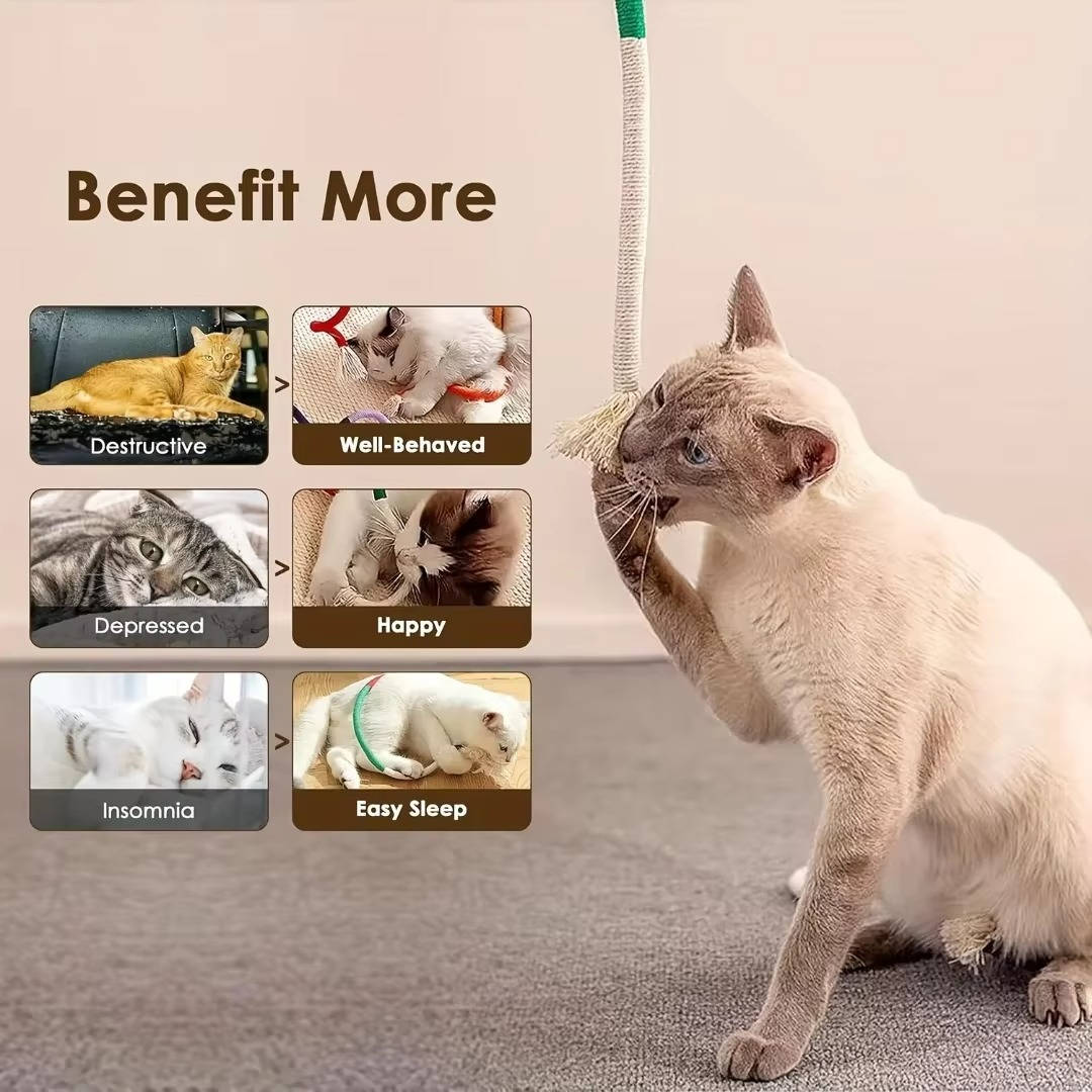 Cat chew toys 2
