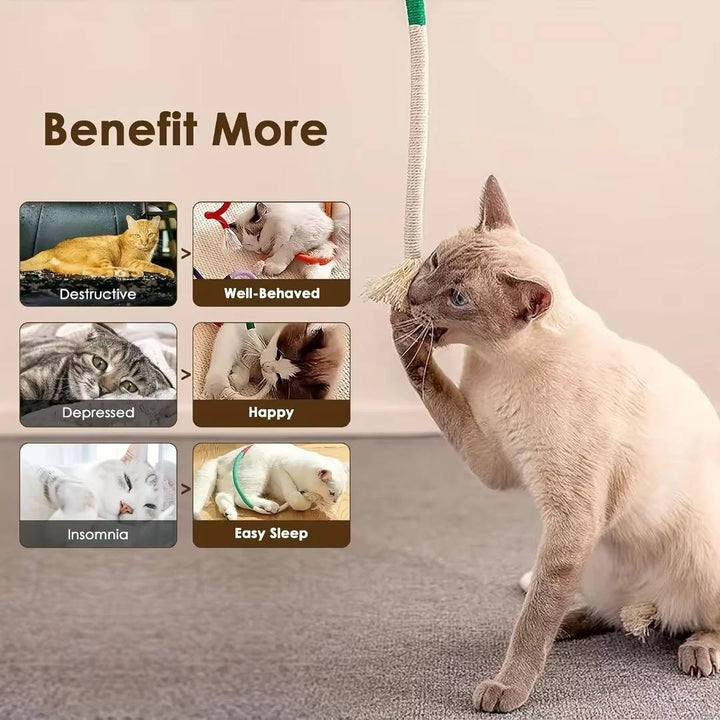 Cat chew toys 2