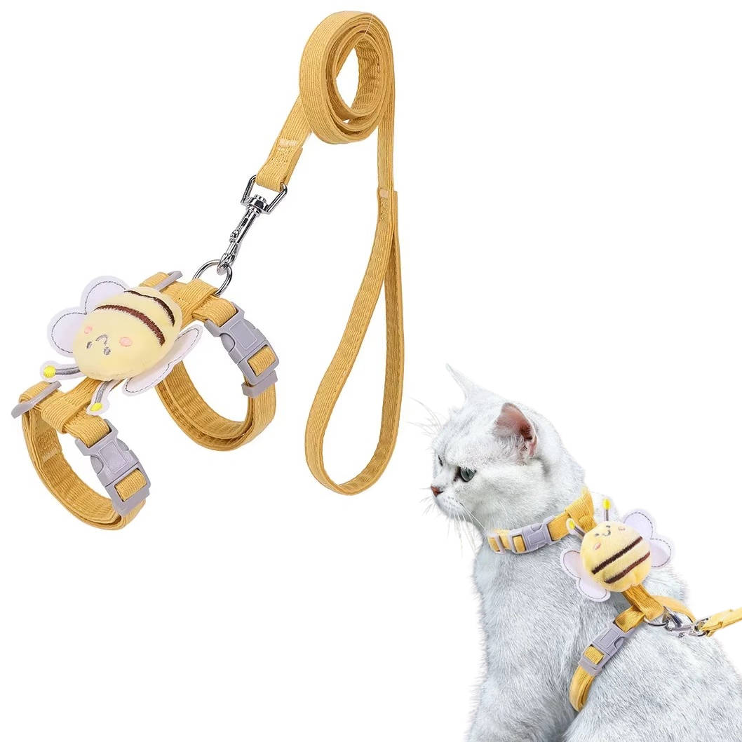 Cat collar and harness 0