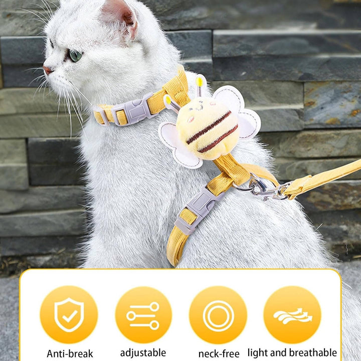 Cat collar and harness 1