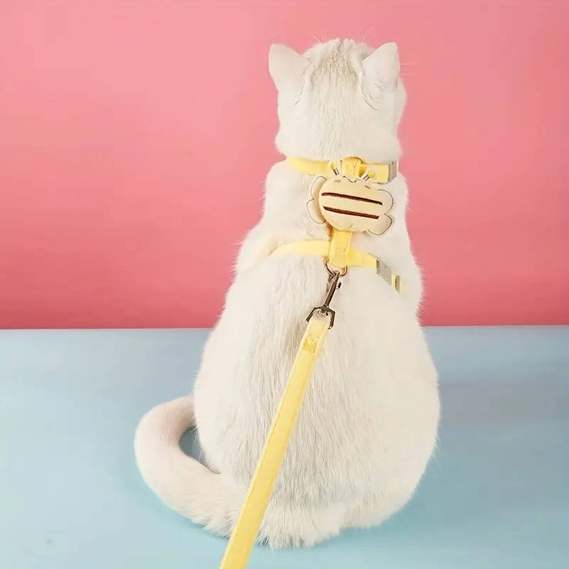 Cat collar and harness 2