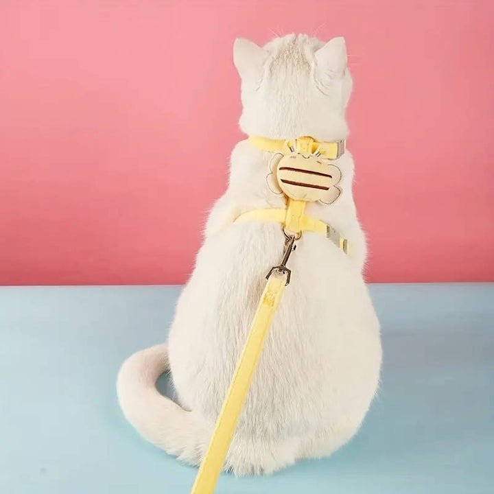Cat collar and harness 2