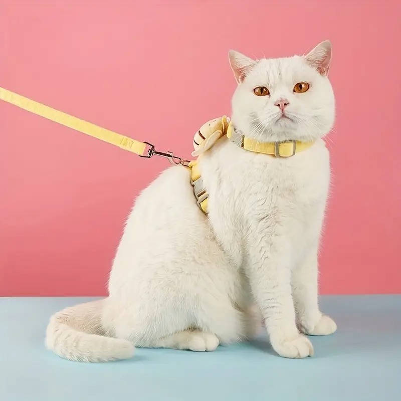 Cat collar and harness 3