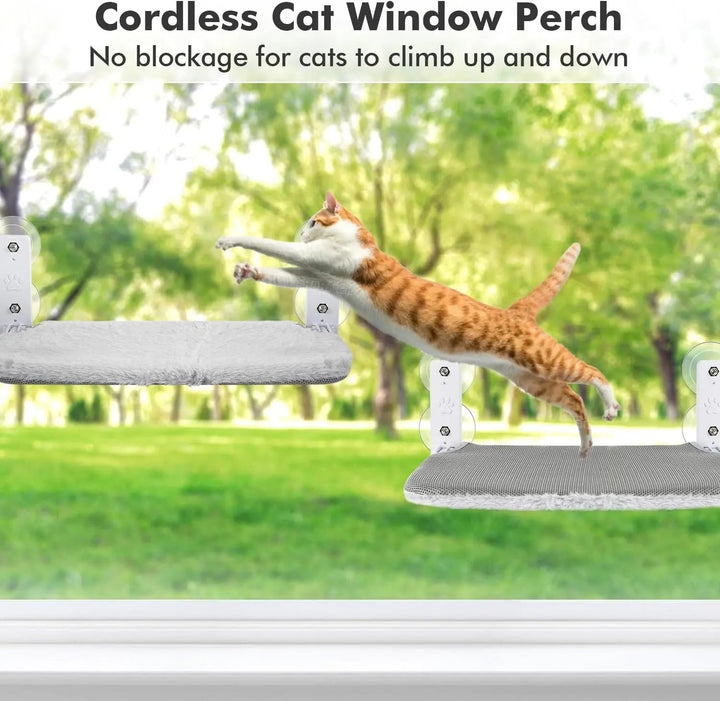 Cat hammock window 1