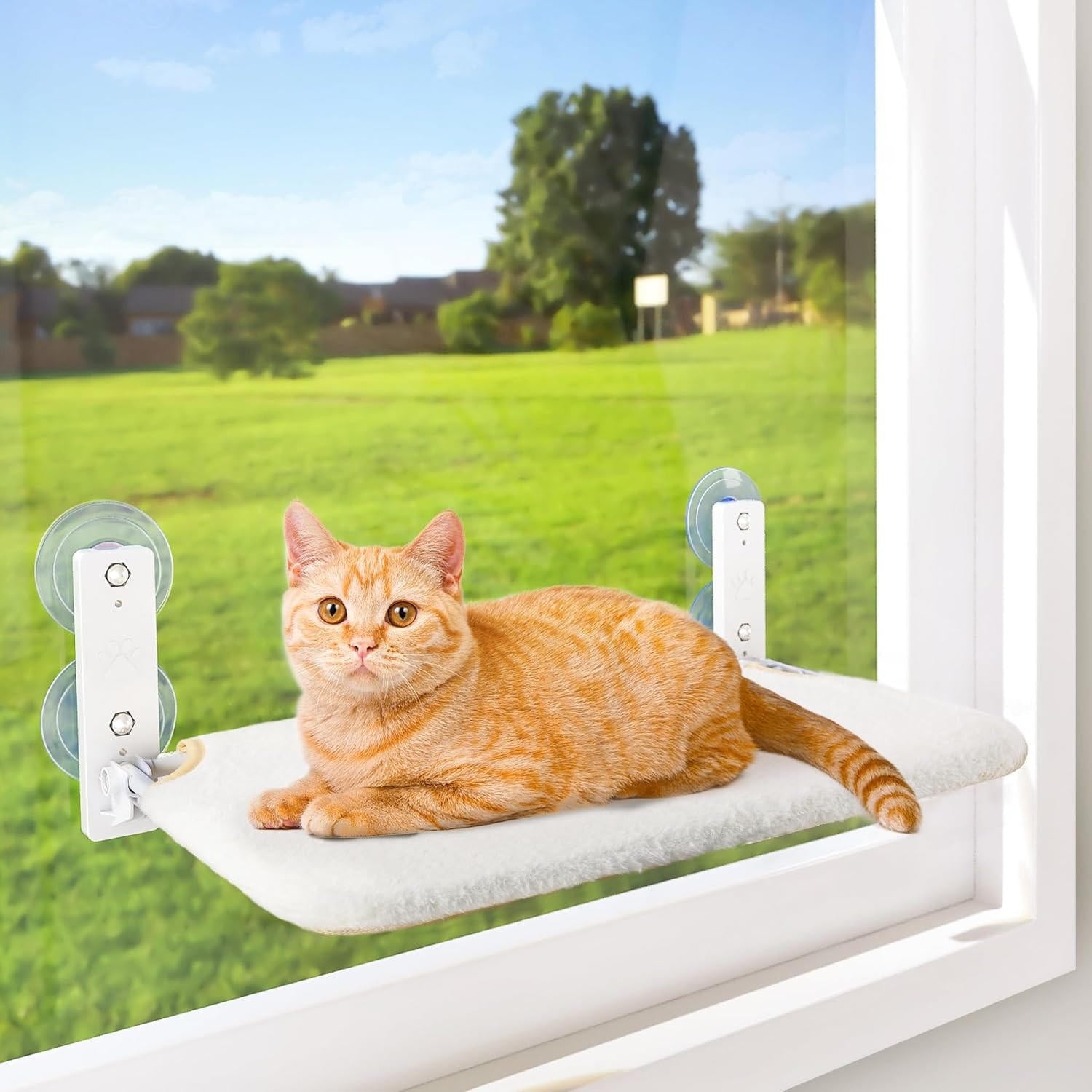 Cat hammock window 10