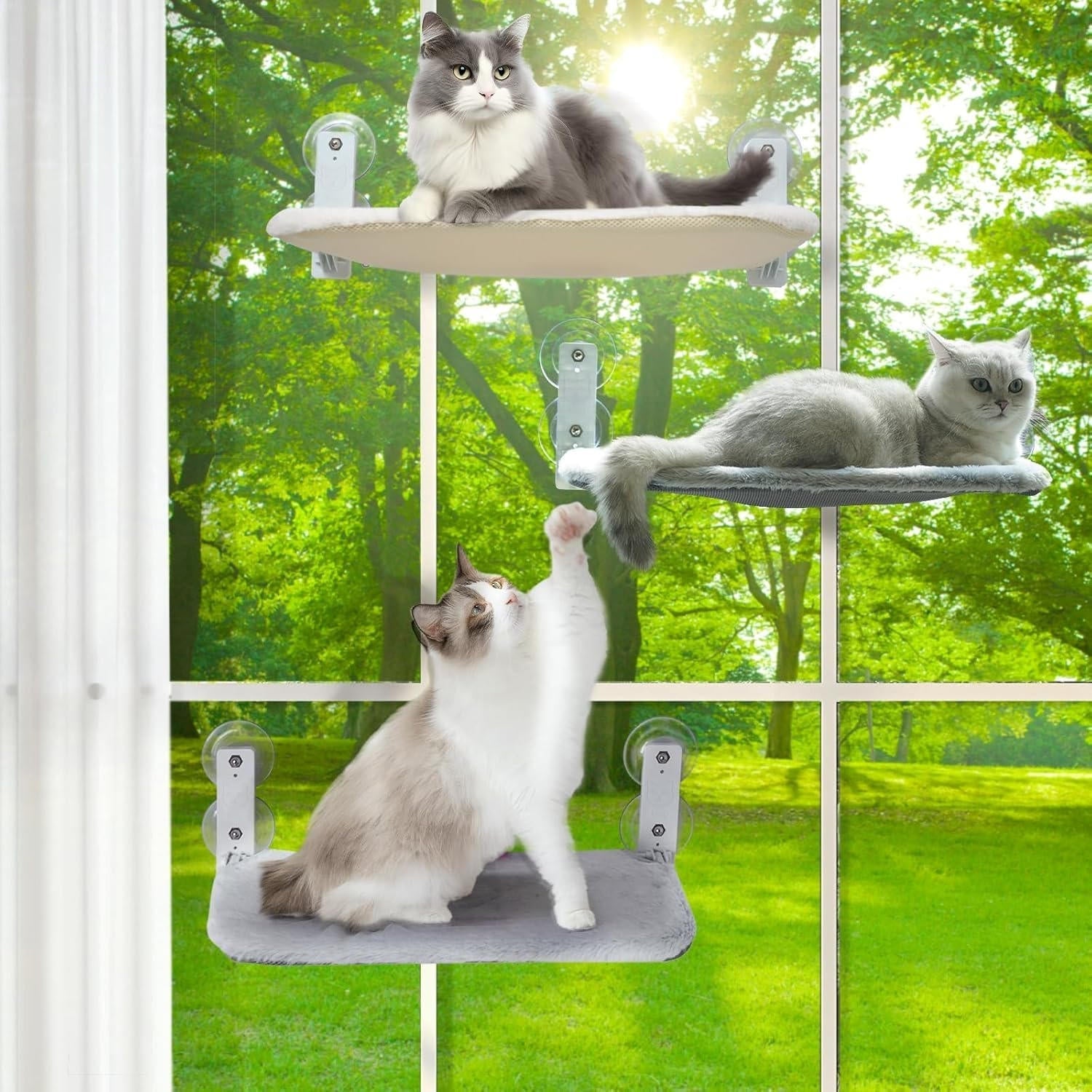 Cat hammock window 2