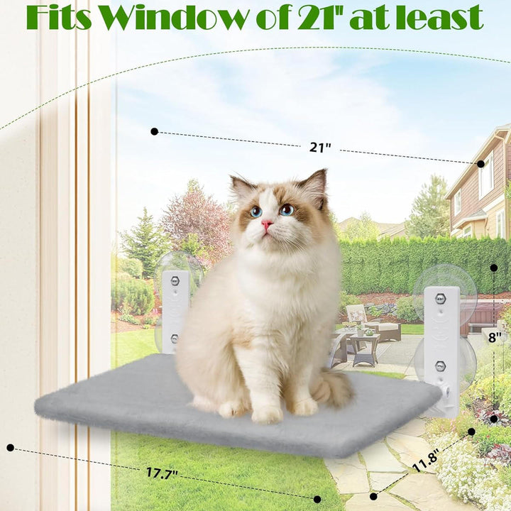 Cat hammock window 7