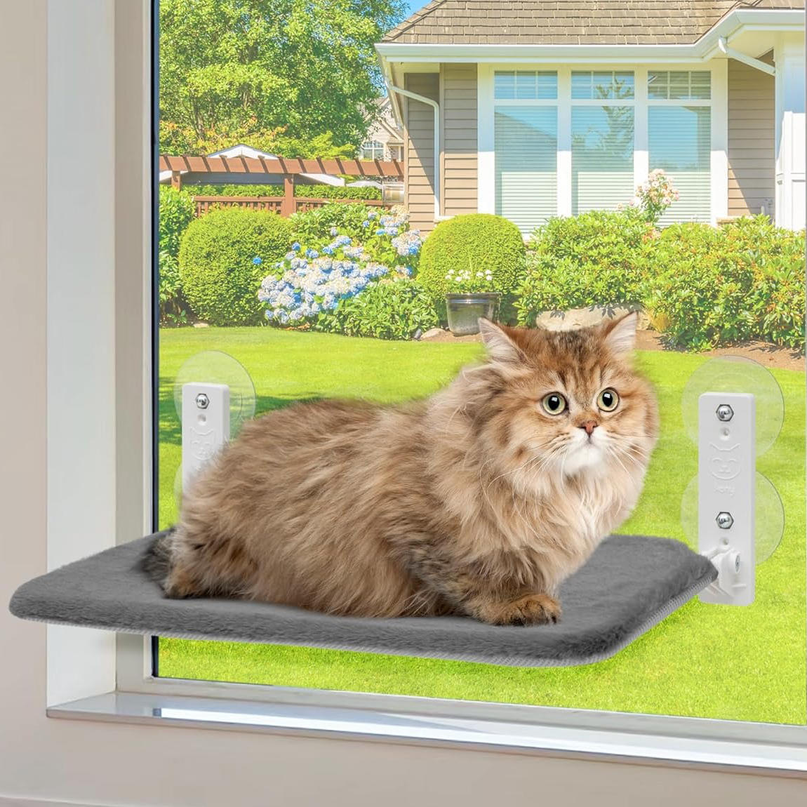 Cat hammock window 9
