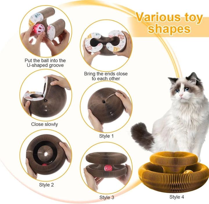 Cat scratching board with magic organ 1