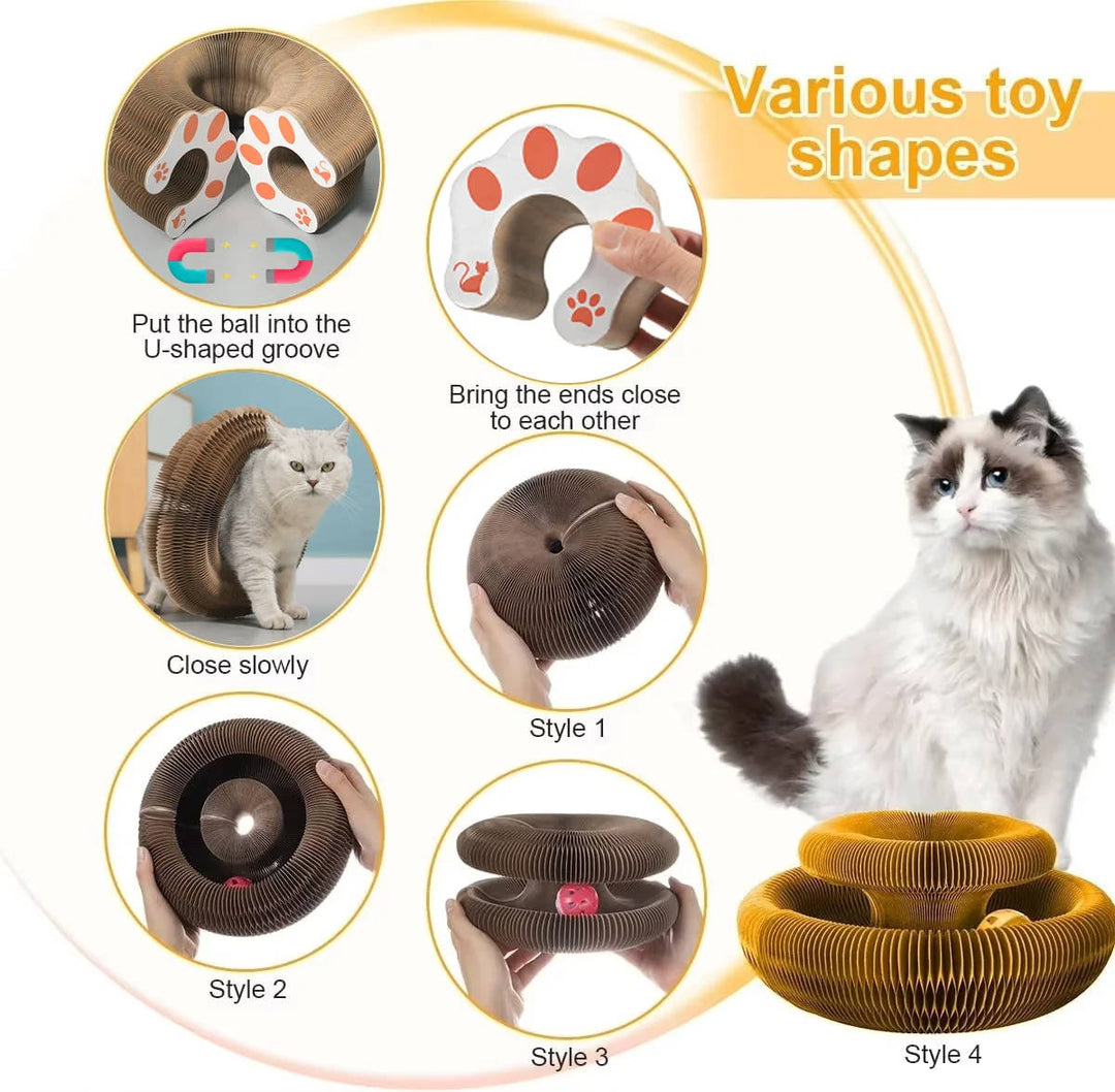 Cat scratching post with ball pit 4