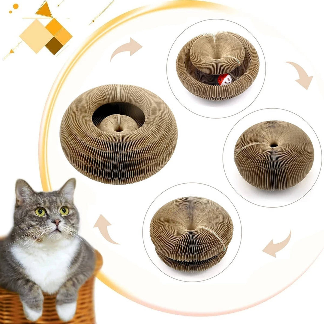 Cat scratching post with ball pit 6