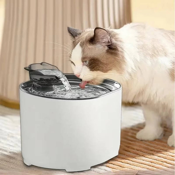 Cat water fountain 0