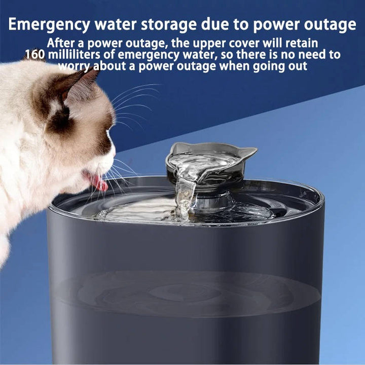 Cat water fountain 1