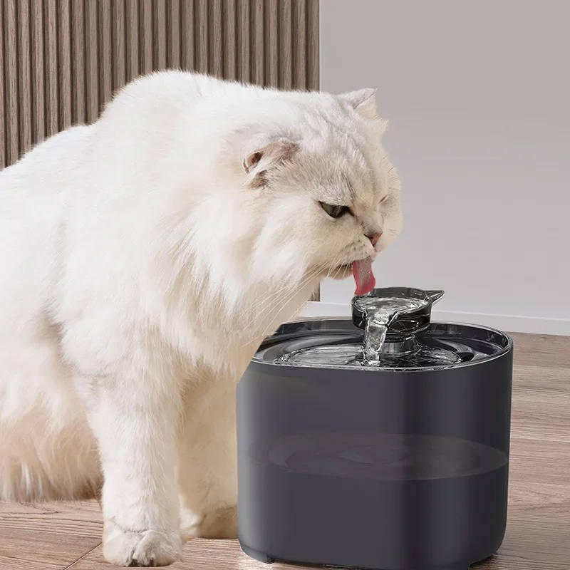 Cat water fountain 9