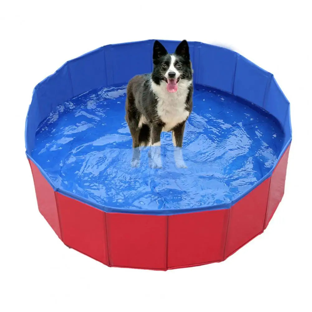 Collapsible dog pool 4