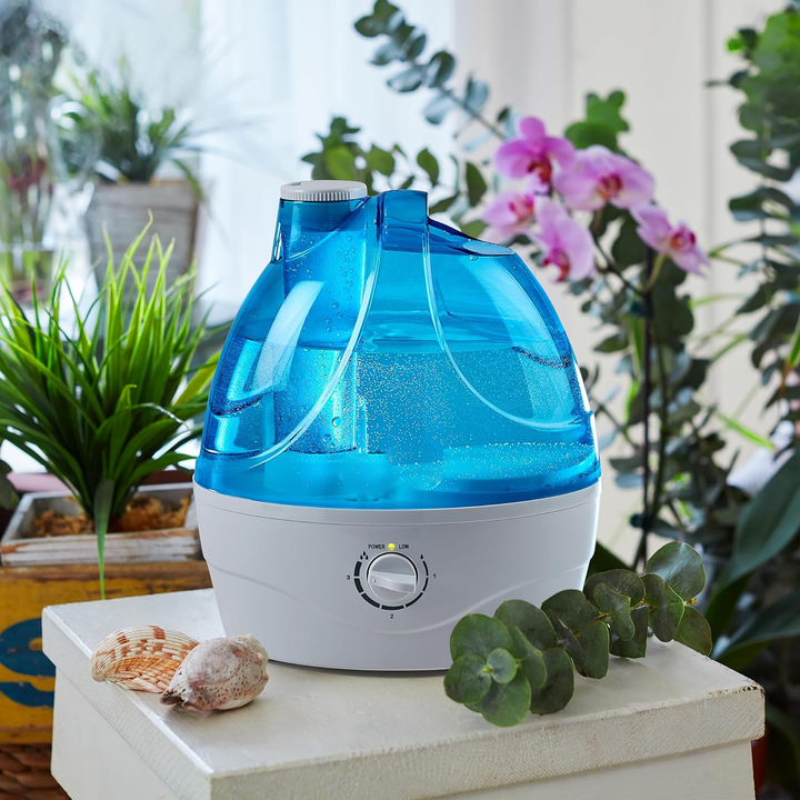 Cool Mist Humidifier 1