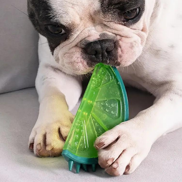 Cooling Freezable Summer Pet Dog Teething Chew Toy 8