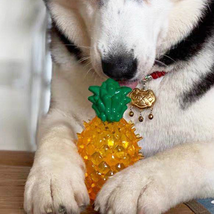 Cooling Freezable Summer Pet Dog Teething Chew Toy 9