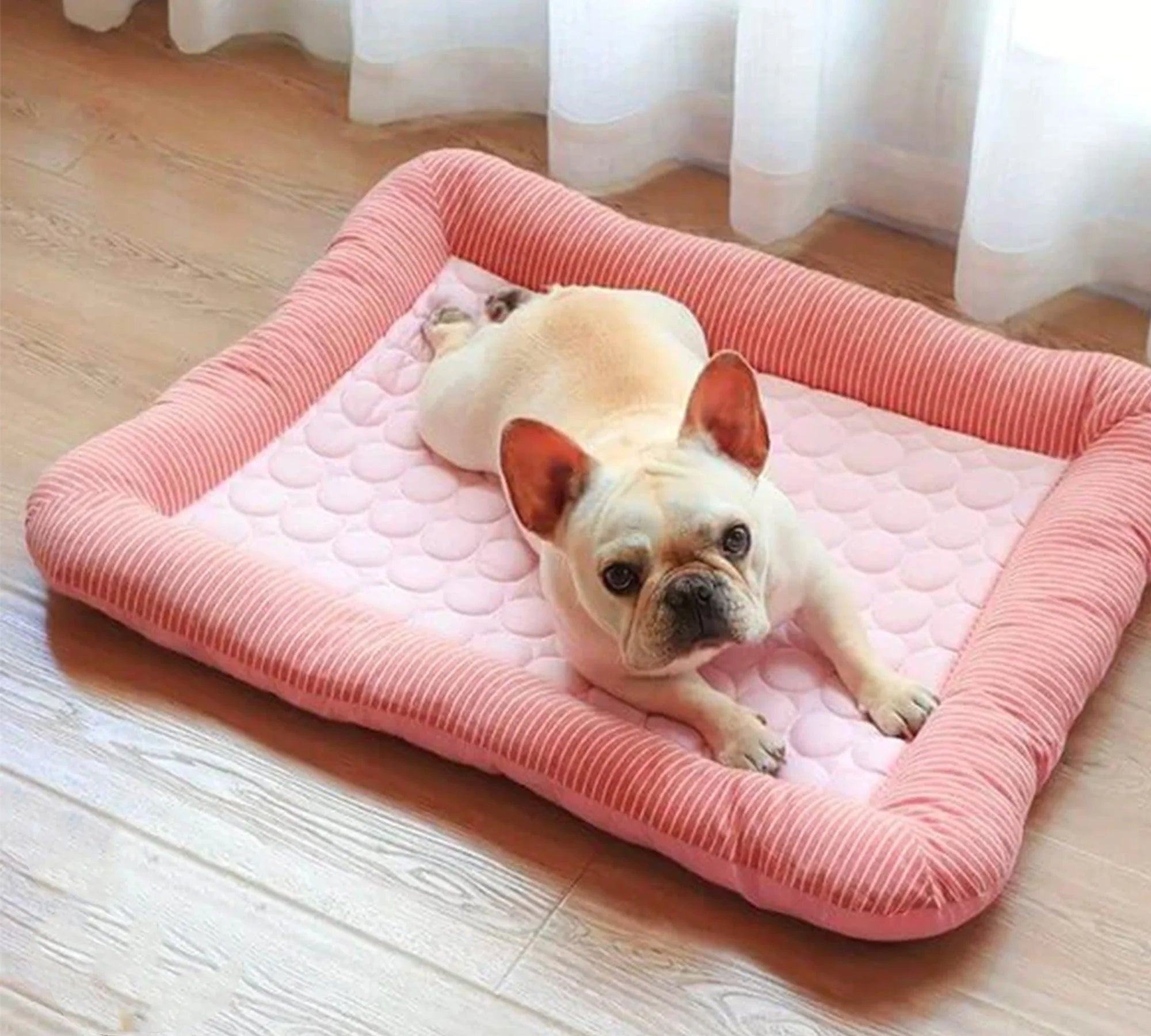 Cooling dog bed with ice silk material 3