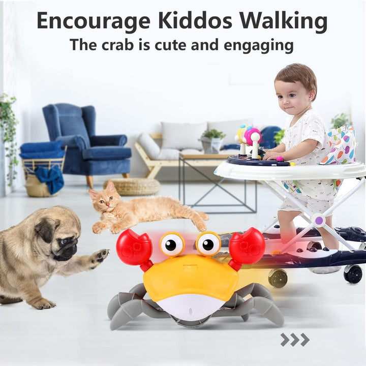 CrustaceanJoy | Crawling Crab Baby Toy with Music and Colorful Lights 6