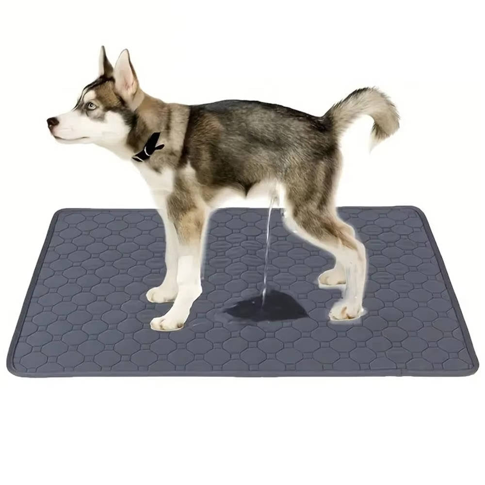 Disposable and reusable pee pads for dogs 0