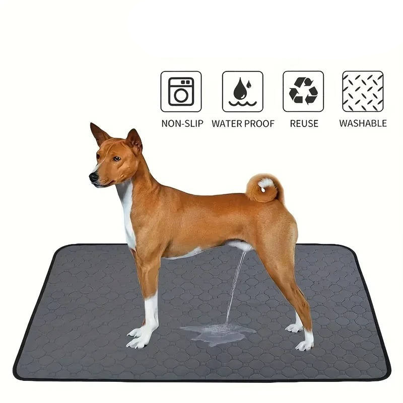 Disposable and reusable pee pads for dogs 1