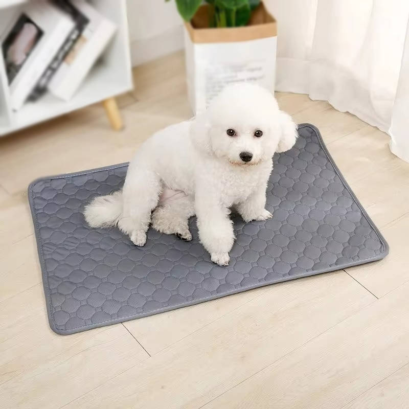 Disposable and reusable pee pads for dogs 4