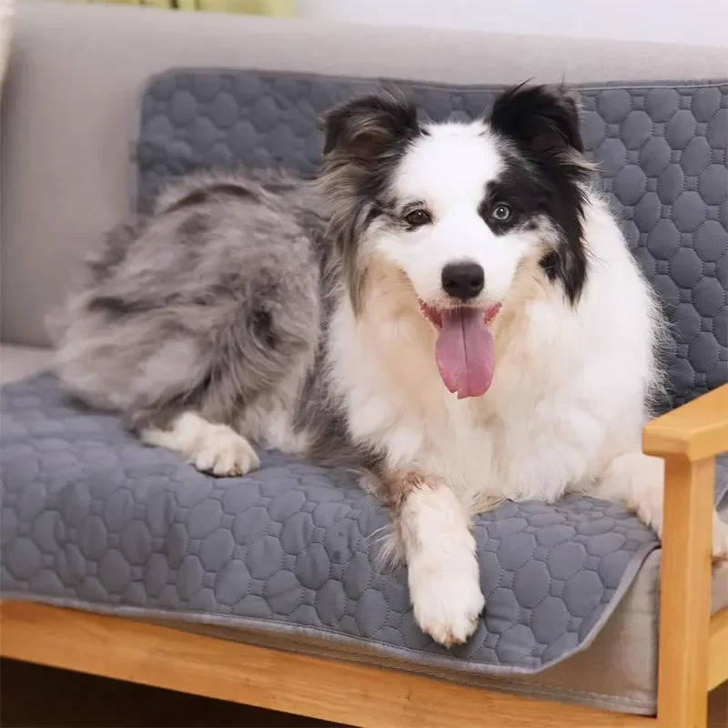 Disposable and reusable pee pads for dogs 6