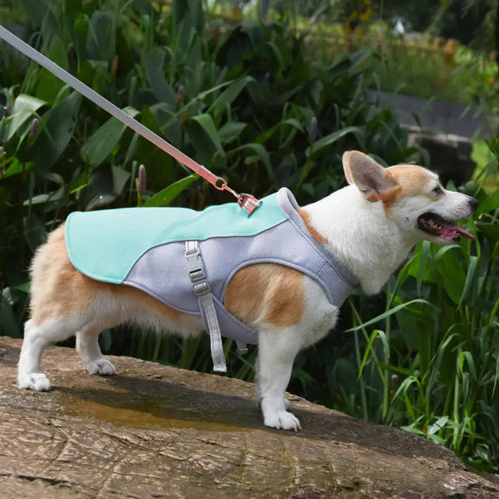 Dog Cooling Vest for Outdoor Activities 2
