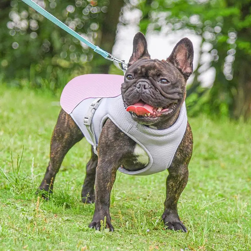 Dog Cooling Vest for Outdoor Activities 3