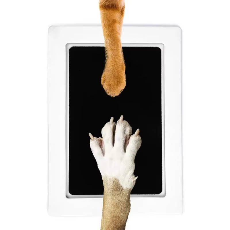 Dog Paw Print Kit 1
