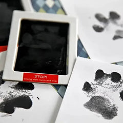 Dog Paw Print Kit 2